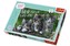 Puzzle Mačiatka 260 dielikov 60x40cm v krabici 40x27x4cm
