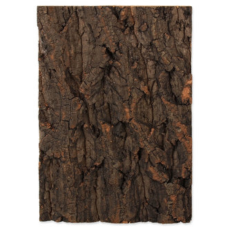 Pozadí REPTI PLANET korek přírodní 19 x 27,3 x 2 cm