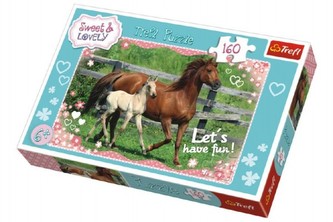 Puzzle Koně cválající 41x27,5cm 160 dílků v krabici 29x19x4cm