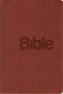 Bible 21