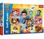 Puzzle Stretnutie Tlapková patrola / Paw patrol 160 dielikov 41x27, 5cm v krabici 29x19x4cm