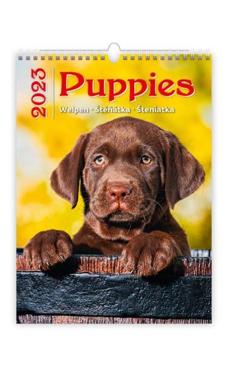 Kalendář nástěnný 2023 - Štěňátka