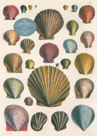 John Derian Paper Goods: Shells 1,000-Piece Puzzle