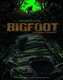 Encountering Bigfoot: Eyewitness Accounts