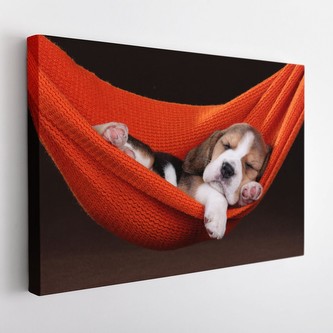 Obraz na plátně DOG 120x80 cm Mybesthome Obraz na plátně DOG 120x80 cm Mybesthome