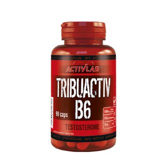 Tribuactiv B6 - ActivLab - 90 kaps.