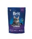 Brit Cat Prem.Senior 800g