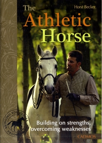 Athletic Horse