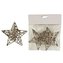 Dekorace hvězda, 2ks X1501/ZL