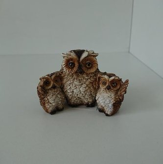 Soví rodinka menší