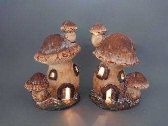 Domeček houba svítící