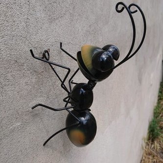 Mravec kov na stenu väčší