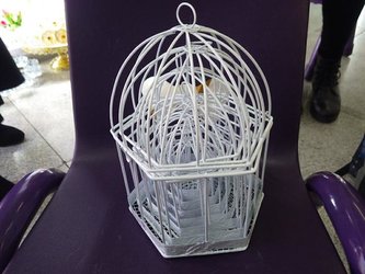 Klec kovová 6ti cípá bílá sd 7ks