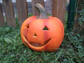 Dýně na svíčku 25cm