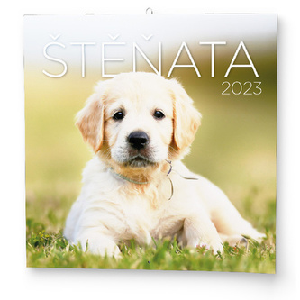 Štěňata 2023 - nástěnný kalendář