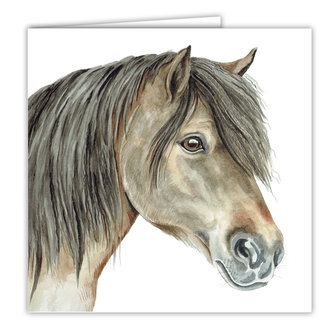 Přání AC-EQ09 Waggy Dogz