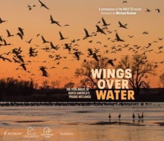 Wings Over Water