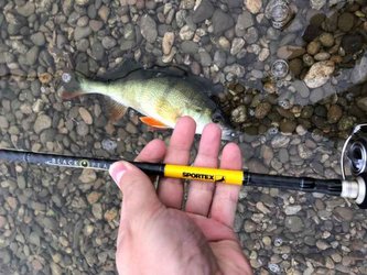 Přívlačové pruty Black Pearl GT-3 2-díl 210cm / 20g baitcast