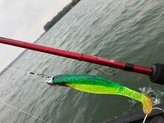 Přívlačové pruty Phenomen Spin 2-díl 210cm / 20g