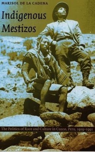 Indigenous Mestizos