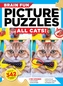 Brain Fun Picture Puzzles: All Cats!