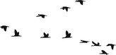 Letící ptáci - plastová šablona 267 Rozměr: D 29x29cm