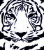 ARTEMISS Tygr - plastová šablona 319 Rozměr: G 29x29cm