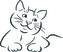 ARTEMISS Kočka obrys - plastová šablona 357 Rozměr: D 29x29cm