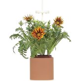 Pret a Pousser Nano, terracota