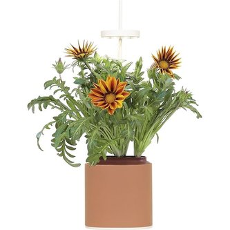 Pret a Pousser Nano, terracota