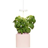 Pret a Pousser Nano, quartz pink
