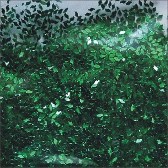 ARTEMISS Gliter hrubý Veľkosť: 100g, Odtieň: zelená