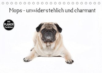 Mops - unwiderstehlich und charmant (Tischkalender 2022 DIN A5 quer)