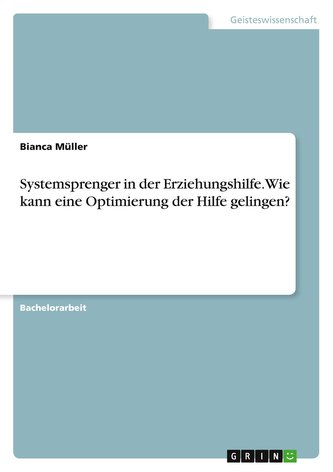 Systemsprenger in der Erziehungshilfe. Wie kann eine Optimierung der Hilfe gelingen?