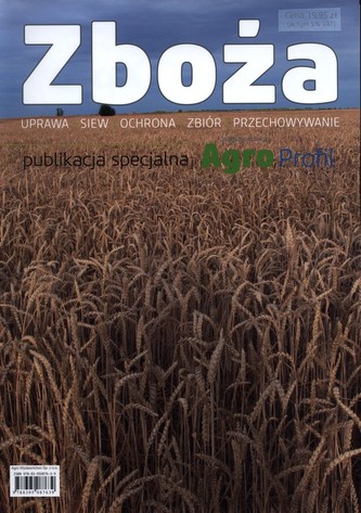 Zboża