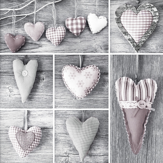 Obraz na plátně PINK 65x65 cm Styler