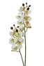 Umělá orchidej 58,5 cm, bílá