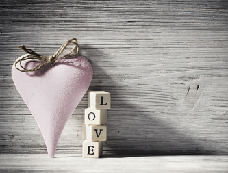 Obraz na plátně PINK 32x42 cm Styler