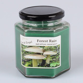 Vonná svíčka - Forest rain, 0/24