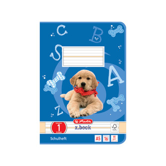 Sešit A5/16 listů lineatura 01