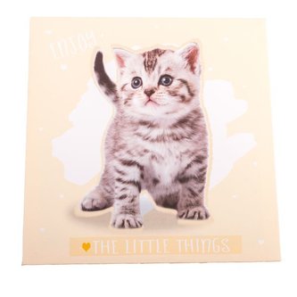 Obraz na plátně, 0/48