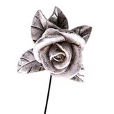 Růže - zápich, 6/192