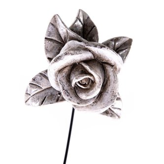 Růže - zápich, 6/192