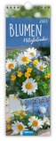 Trötsch Streifenkalender Blumen 2023 - Notizkalender