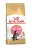 Royal Canin Breed  Feline Kitten Maine Coon  400g