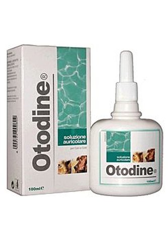 Otodine 100 ml