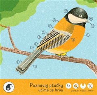 Poznávej ptáčky Poznávej ptáčky