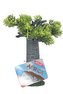Akvarijní dekorace AFRICA Baobab S 18,3cm Zolux