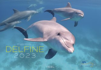 Delfine 2023