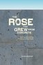 The Rose That Grew from Concrete: Teaching and Learning with Disenfranchised Youth